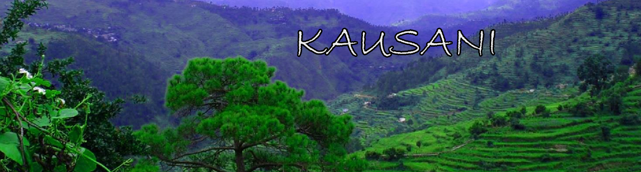 Kausani Village and Hill Station