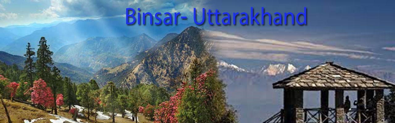 Binsar Tourism Uttarakhand