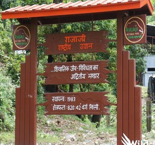  Rajaji National Park Uttarakhand Tour