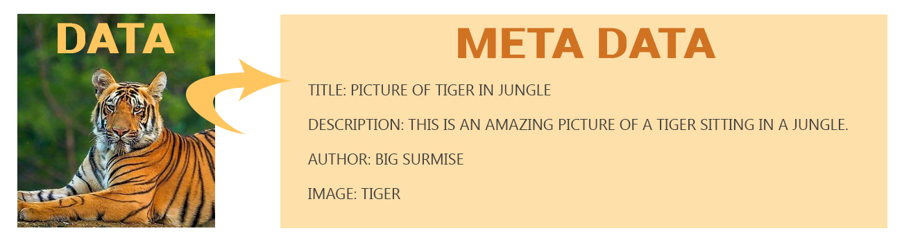 How Metadata works for Google Serach Engine